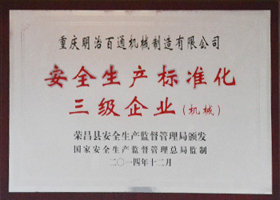 安全生產(chǎn)標(biāo)準(zhǔn)化三級企業(yè)